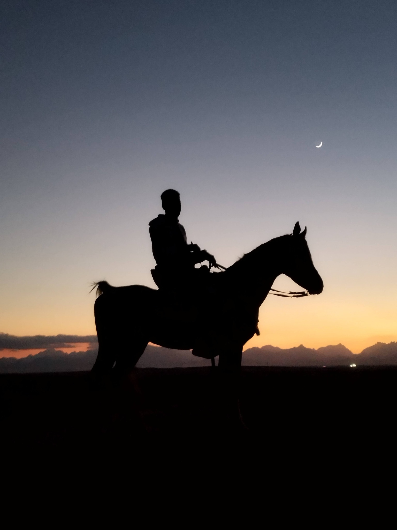 Trips Tours Travel - Foto 10