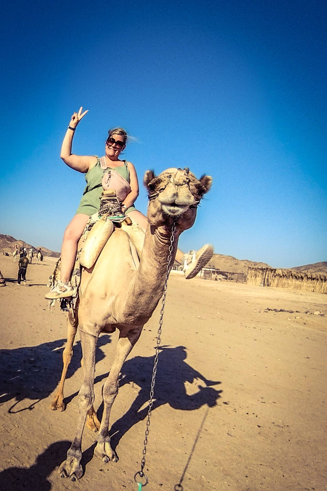 Trips Tours Travel - Foto 3