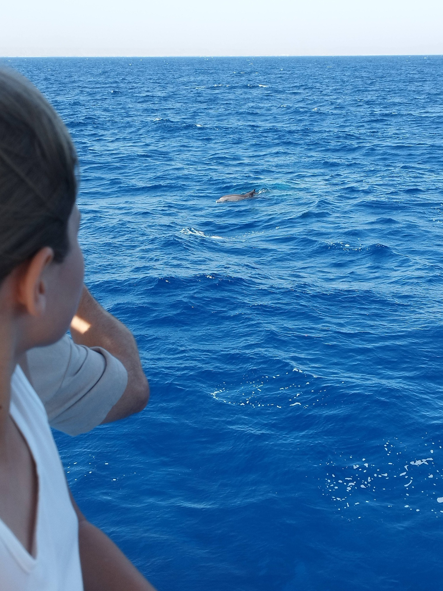 Trips Tours Travel - Foto 9